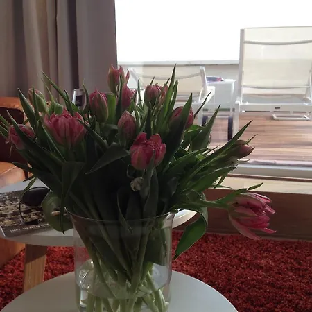 Penthouse William Appartamento *