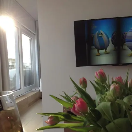 Penthouse William Apartment